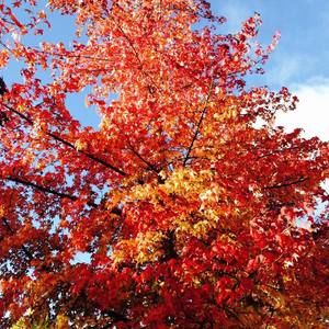 Meet your Posher, Cathy